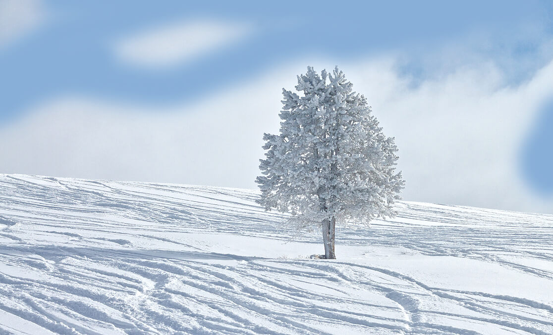 ZA OS Winter